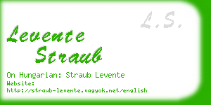 levente straub business card